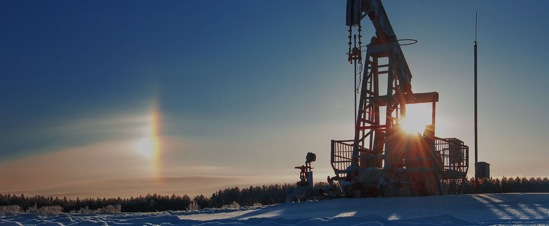 Petrokemijska industrija